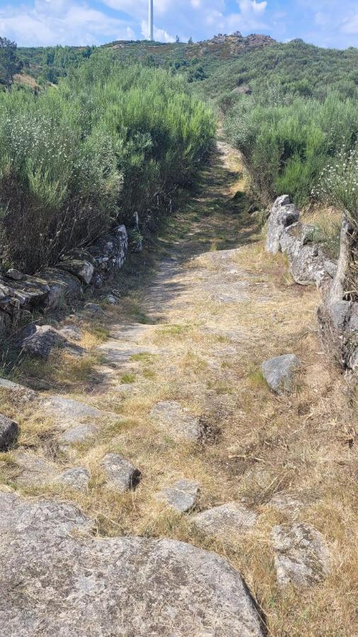 Casinhas Da Eira Caramulo Turismo Rural Arca Exteriör bild
