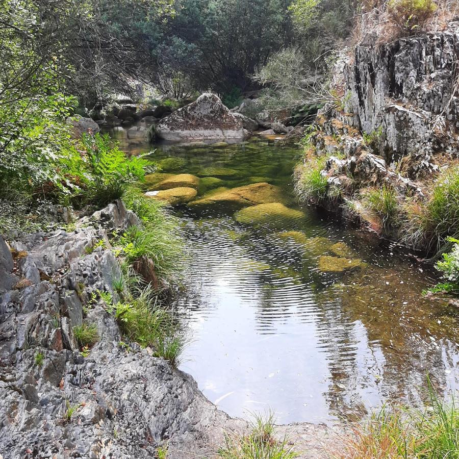 Casinhas Da Eira Caramulo Turismo Rural Arca Exteriör bild